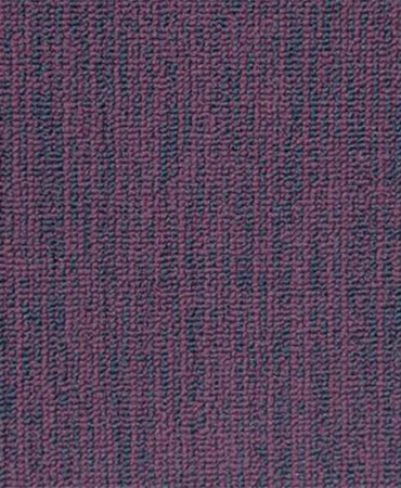Carpete Solidus